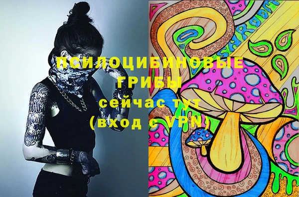MDMA Аркадак