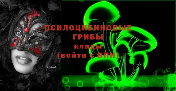 ГАЛЛЮЦИНОГЕННЫЕ ГРИБЫ Арсеньев